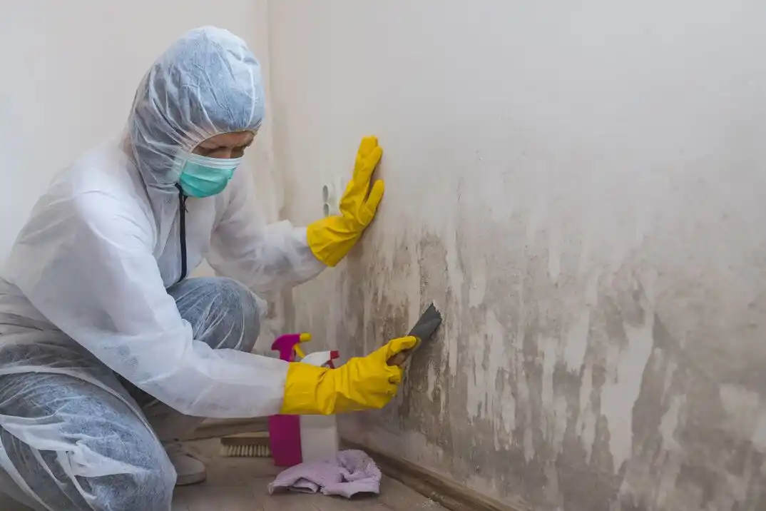 water damage restoration service Village of Rocketts Landing